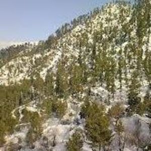 Meet your Posher, Mumin