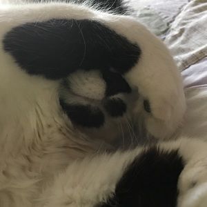 Meet your Posher, Cindy