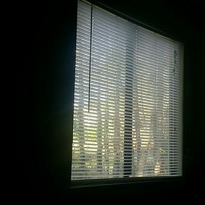 Meet your Posher, Damonta