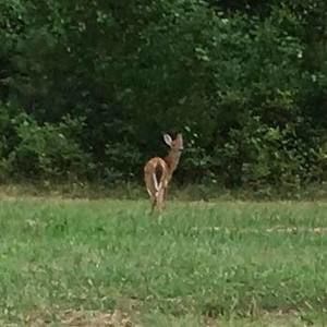 Meet your Posher, Denise