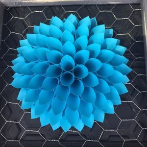 Meet your Posher, Mindy