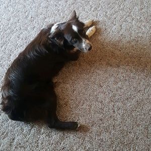 Meet your Posher, Danette