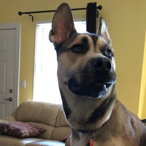 Meet your Posher, Bun