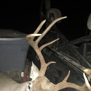 Meet your Posher, Logan