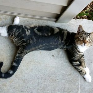 Meet your Posher, Faith