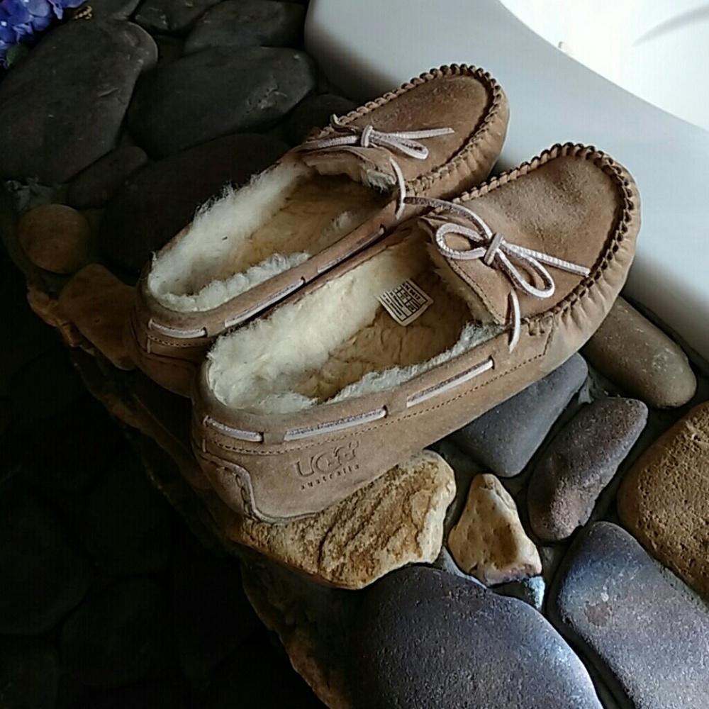 UGG Dakota slippers