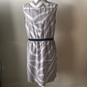 Ann Taylor Print Dress