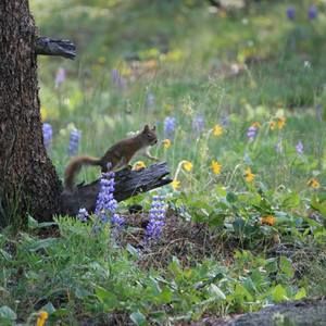 Meet your Posher, Vickie