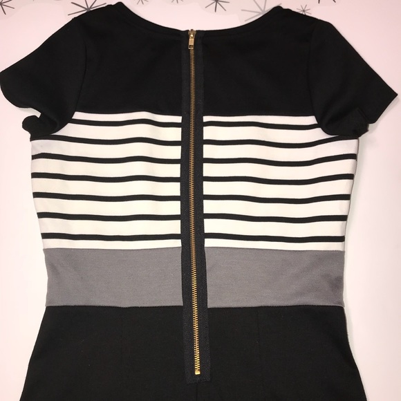 The Limited Dress exposed zipper work or occasion - Picture 8 of 8