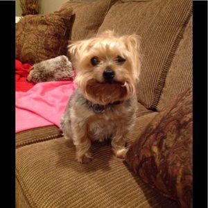 Meet your Posher, Carol