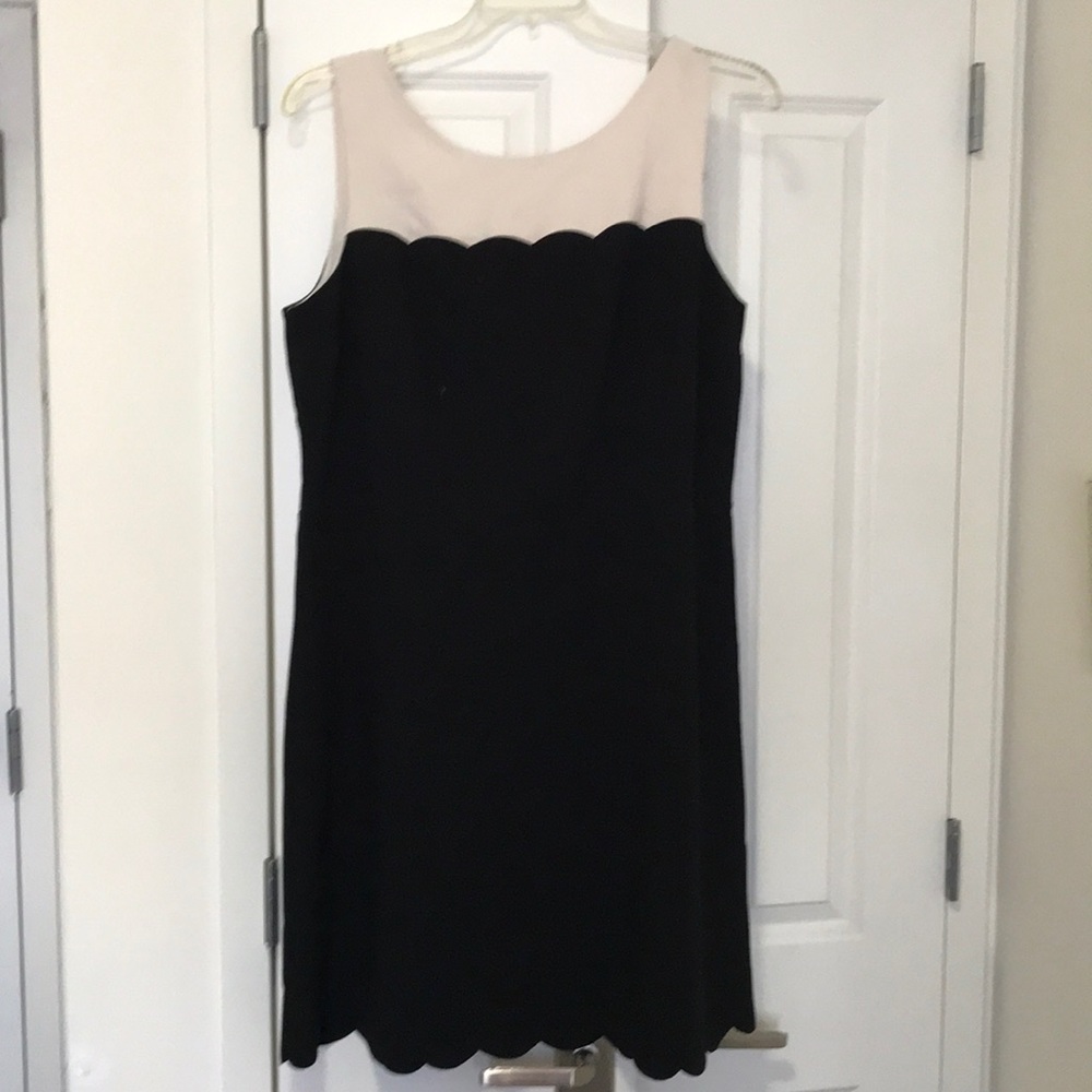 NWT Loft black and white dress. Size 16