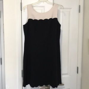 NWT Loft black and white dress. Size 16