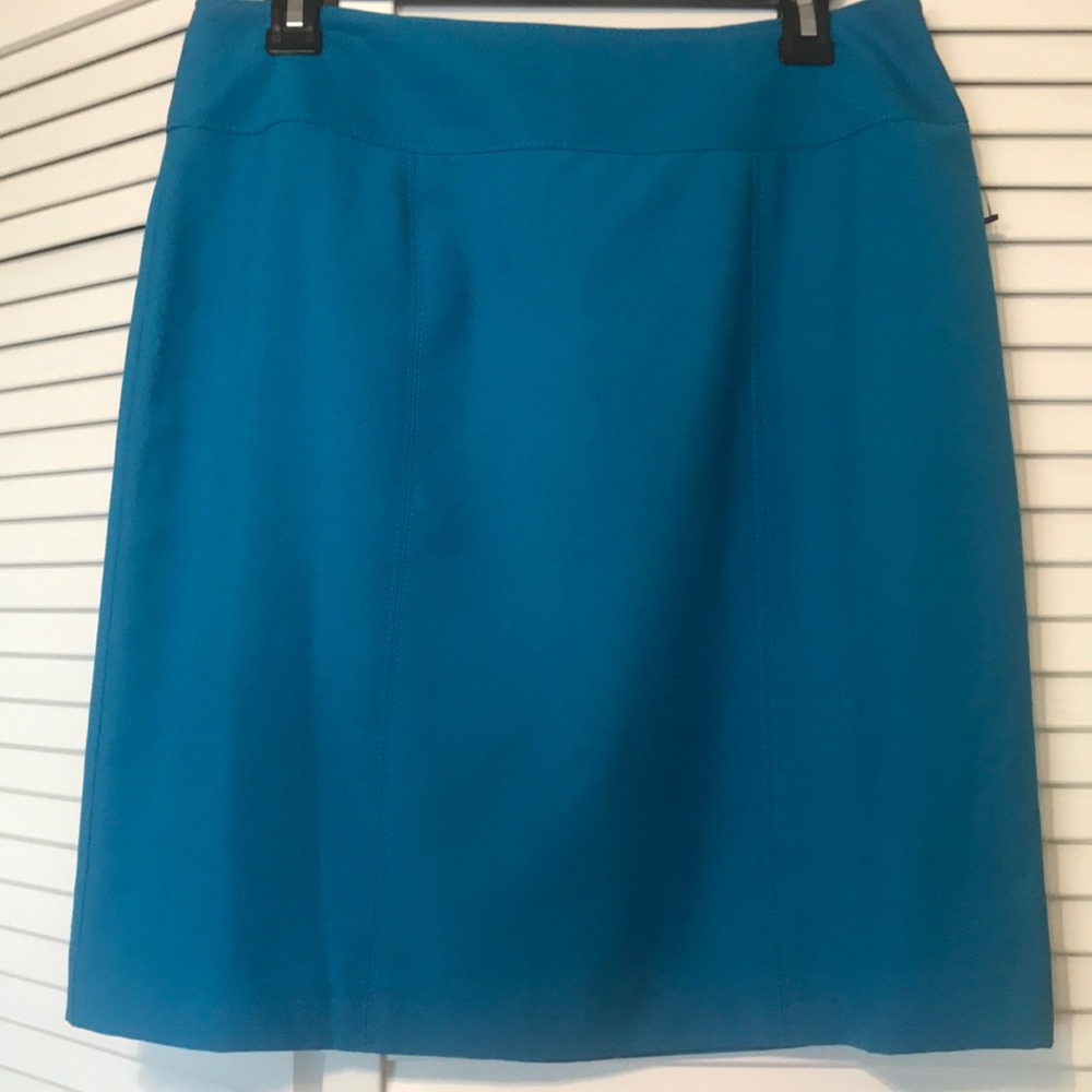 Kim Rogers Blue Professional Skirt! Super cute!!