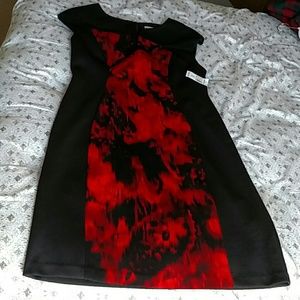 NWT gorgeous dress!