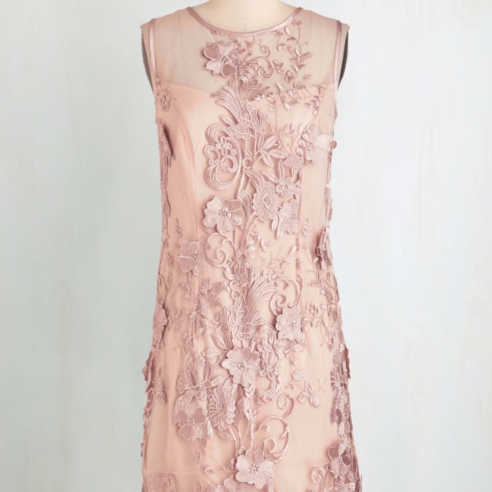 NWT Applique overlay dress