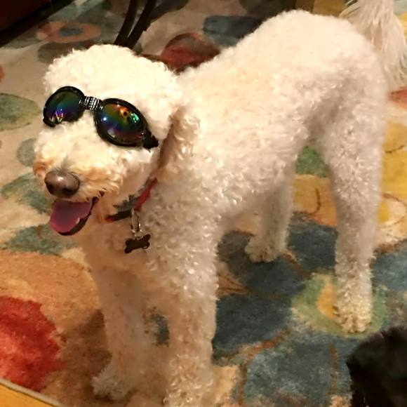 Meet your Posher, Scott - Picture 1 of 1