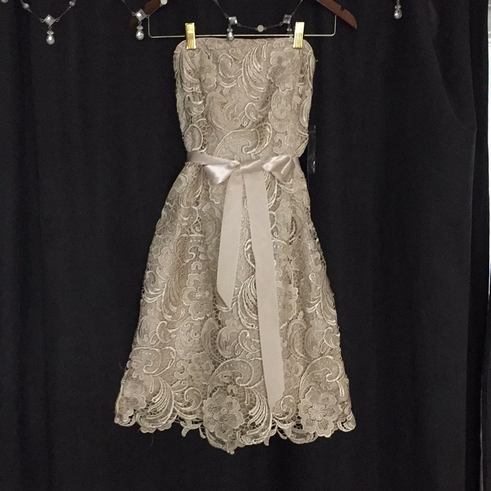 Adrianna Papell boutique dress