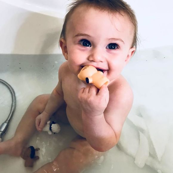 Meet your Posher, Mason - Picture 1 of 1