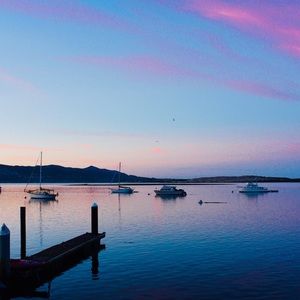 Meet your Posher, Emma