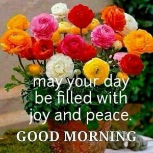 Meet your Posher, June