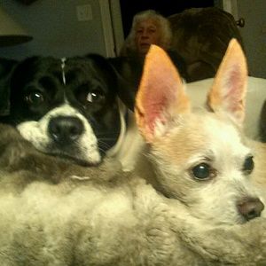 Meet your Posher, Michele