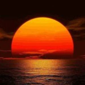 Meet your Posher, Jake