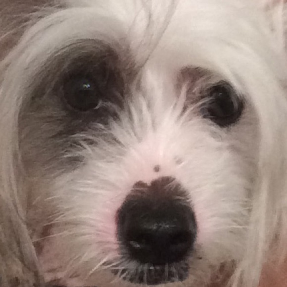 Meet your Posher, Matt