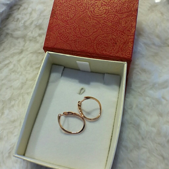 NEW 14K rose gold over ster silver twisted hoops - Picture 2 of 6