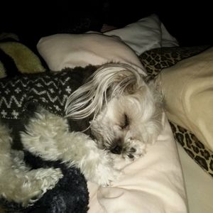 Meet your Posher, Joelle