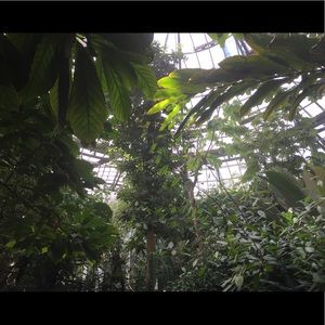 Meet your Posher, Victoria