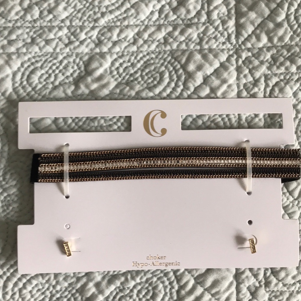 Charming Charlie choker & earring set