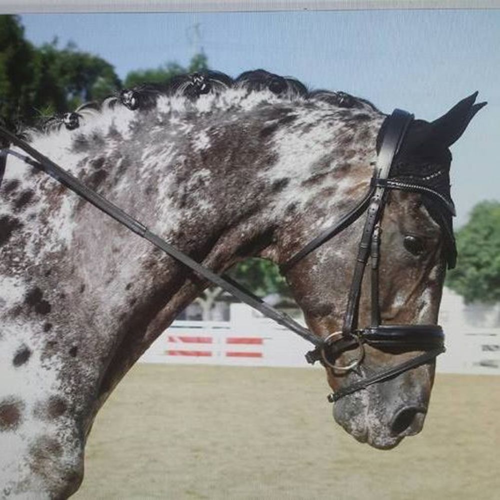 Meet your Posher, Lindi