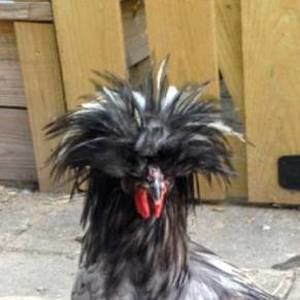 Meet your Posher, Bryan