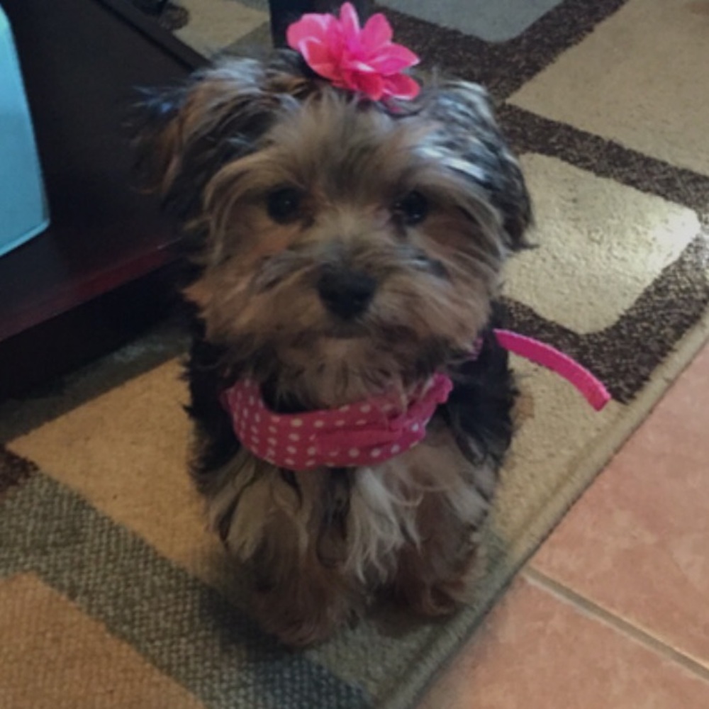 Meet your Posher, Meghan