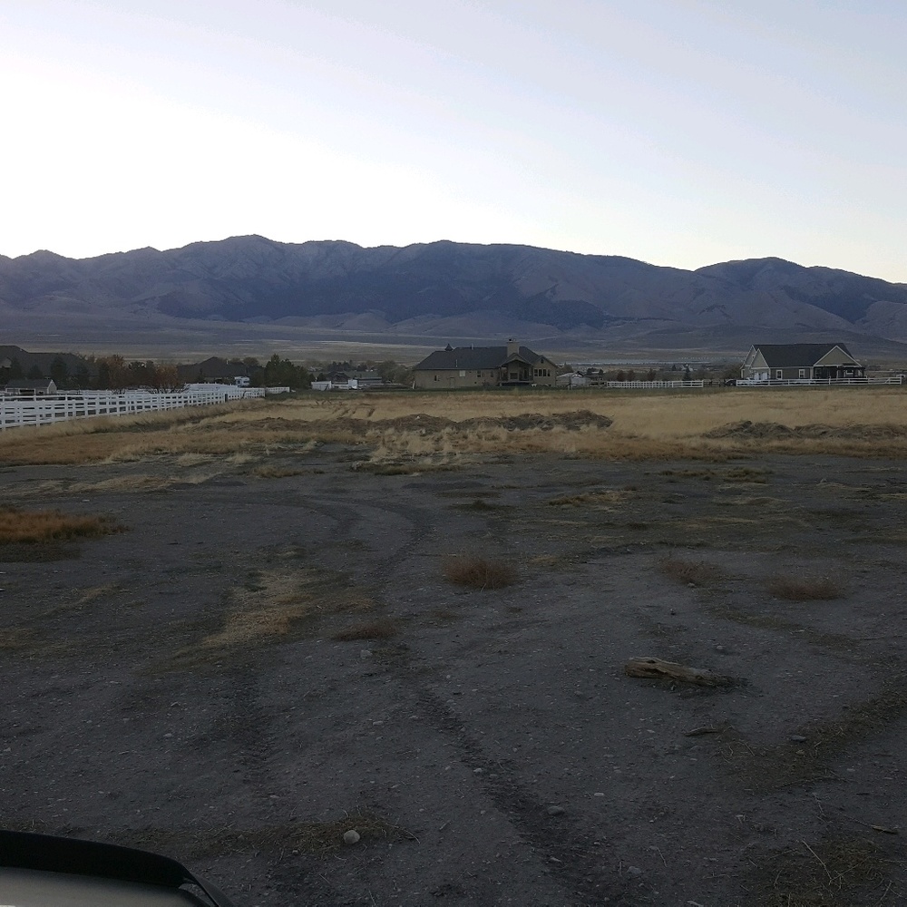 Meet your Posher, Sylvia