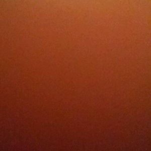 Meet your Posher, Shanetta