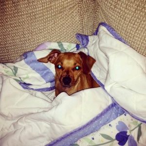 Meet your Posher, Mary