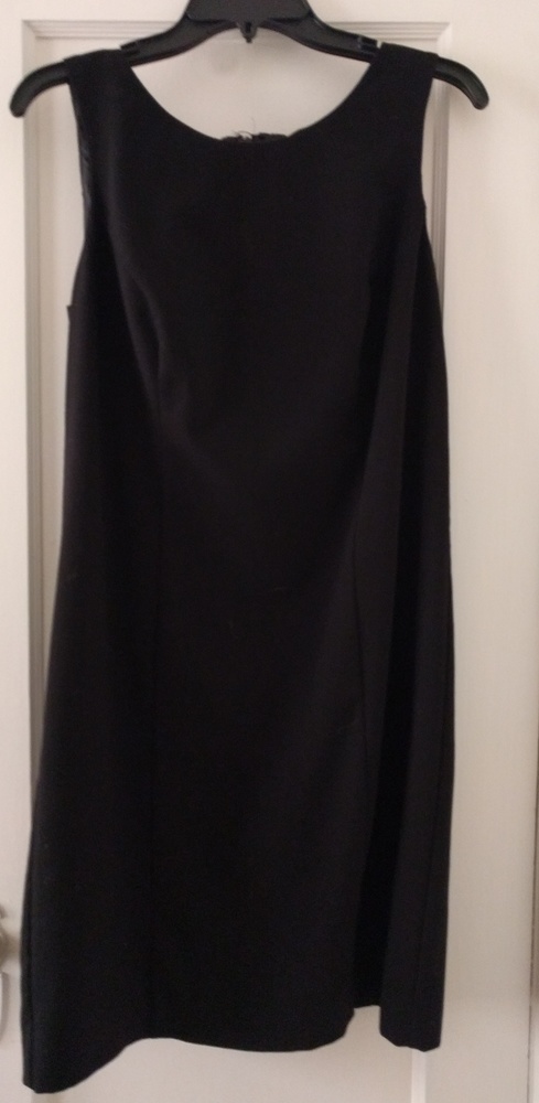 Black sheath dress, great for work.