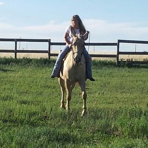 Meet your Posher, Tracey