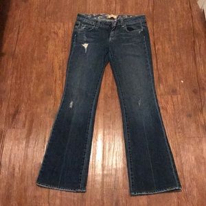 Paige bootcut jeans