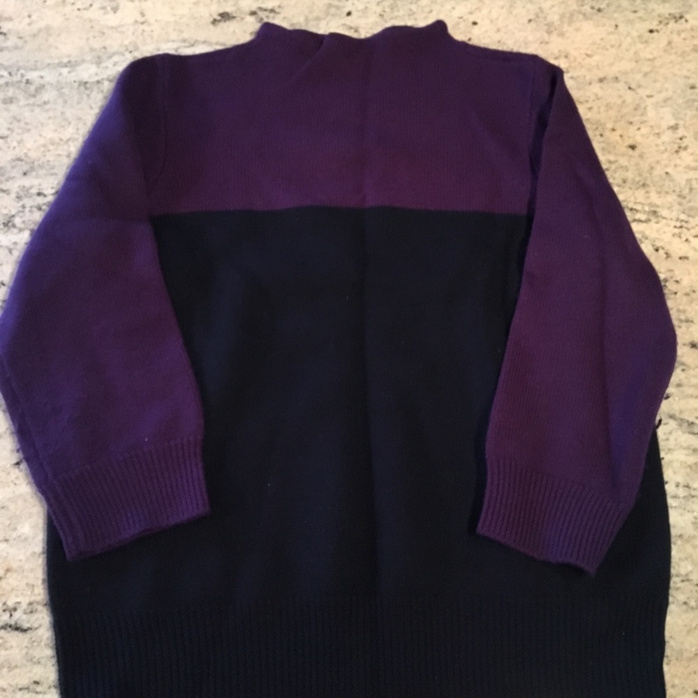 JCrew 100% Merino Wool Colorblock Sweater