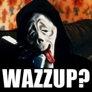 Meet your Posher, Jody