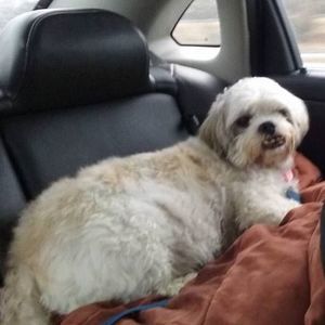 Meet your Posher, Denise