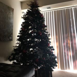 Meet your Posher, Ailene