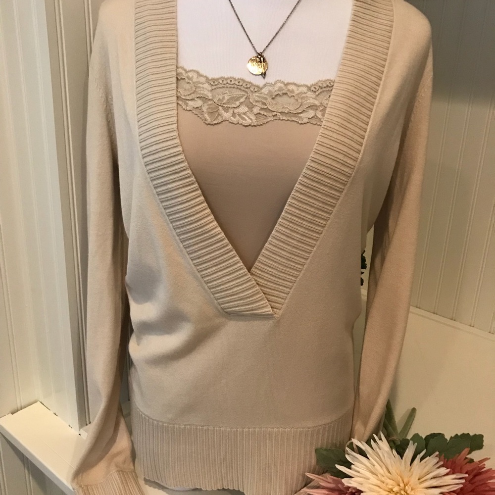 Ann Taylor V Neck Sweater