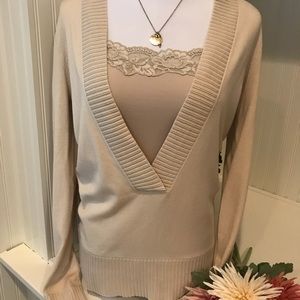Ann Taylor V Neck Sweater