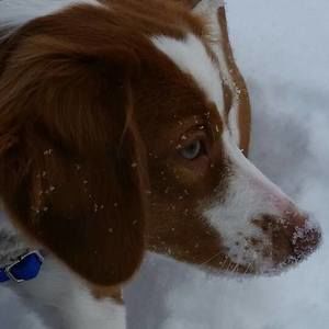 Meet your Posher, Braeden