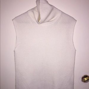 Everlane Merino Sleeveless Turtleneck Sweater