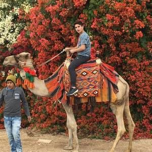 Meet your Posher, Aaron