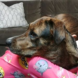 Meet your Posher, Stacy